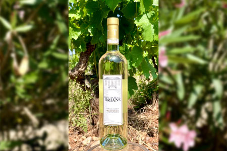 Château Trians Blanc | Domaine de Trians à Néoules (83)