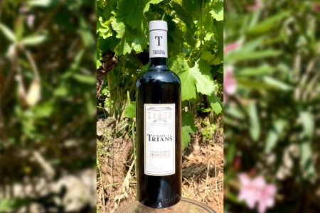 Château Trians Rouge | Domaine de Trians à Néoules (83)