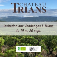 Invitation aux Vendanges à Trians - du 19 au 20 septembre 2025