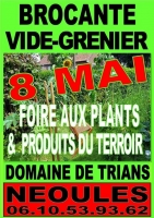 Vide-grenier, brocante, foire aux plants et produits du terroir au Domaine de Trians >> dimanche 8 mai 2022 !